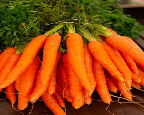 Fresh orange carrots freshly harvested placed on a rustic wooden board