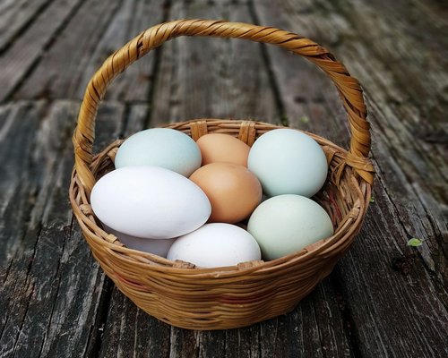Organic brown and white eggs arranged neatly in a traditional woven basket